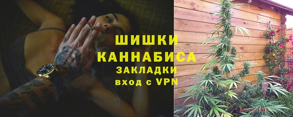 дурь Магас