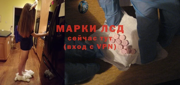 дурь Магас