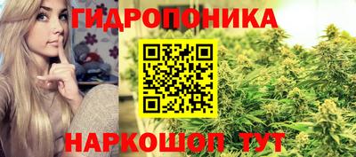 мет Кингисепп