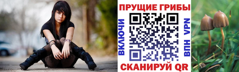 Галлюциногенные грибы ЛСД  Сызрань 
