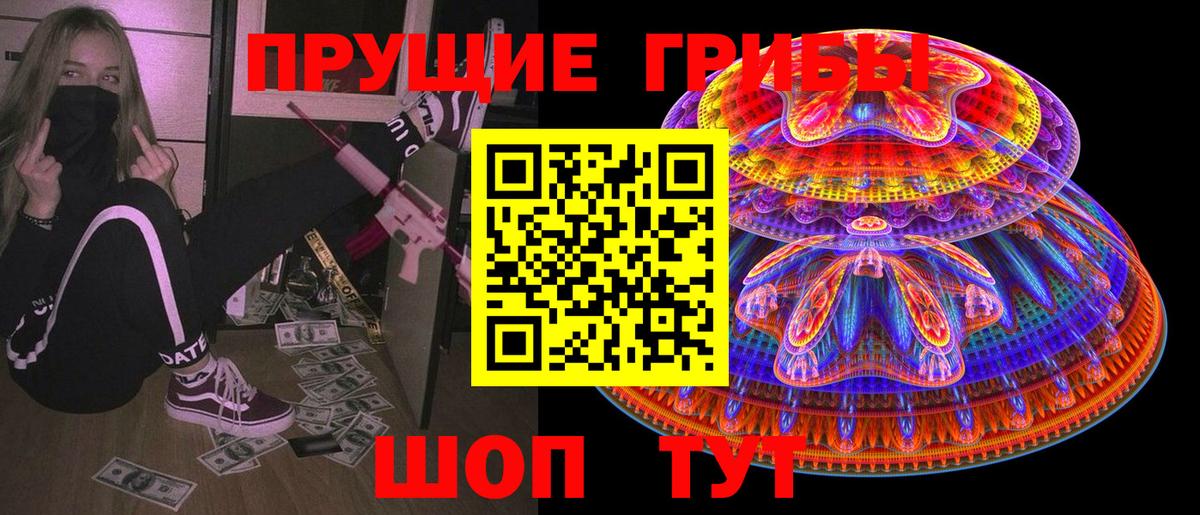 Псилоцибиновые грибы Psilocybine cubensis Сызрань