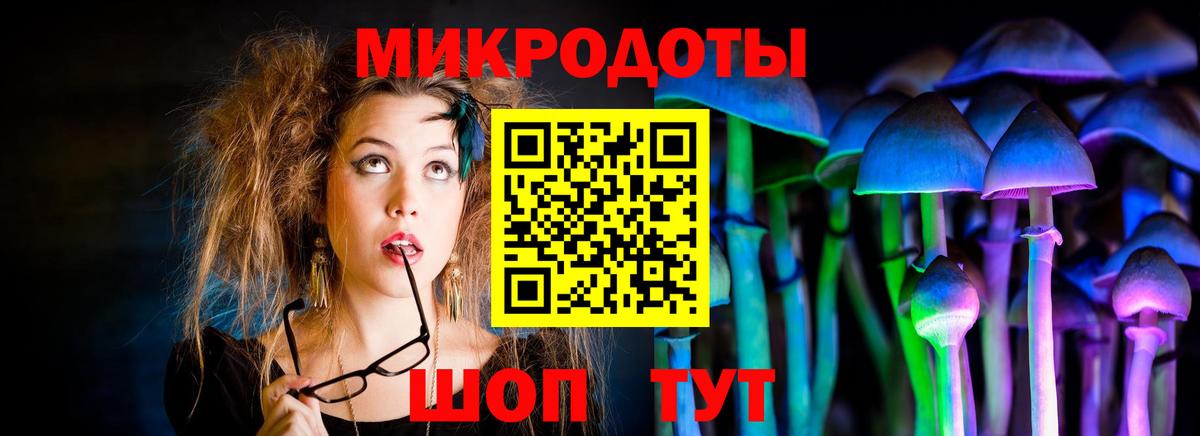 Галлюциногенные грибы Psilocybe  Псилоцибиновые грибы MAGIC MUSHROOMS  Сызрань  Вход с VPN 